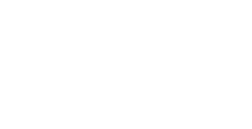 NOI